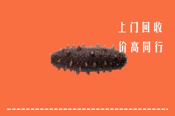 收购行情：额济纳回收海参