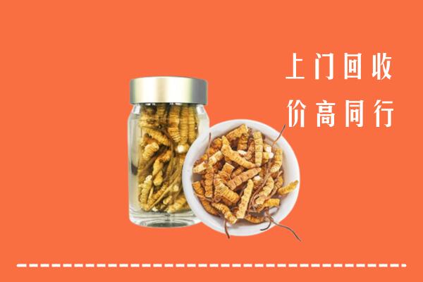 额济纳回收冬虫夏草