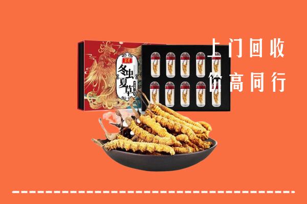 额济纳回收虫草